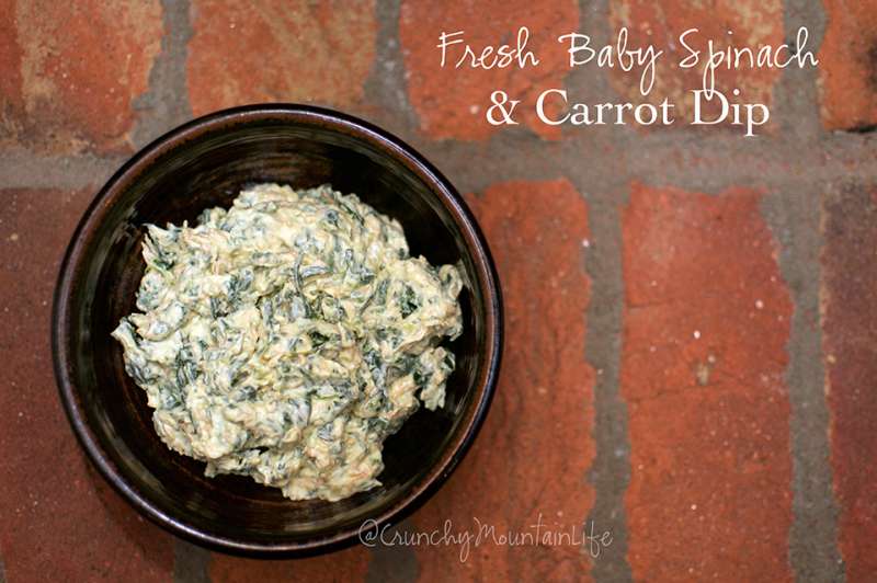 Fresh Baby Spinach & Carrot Dip