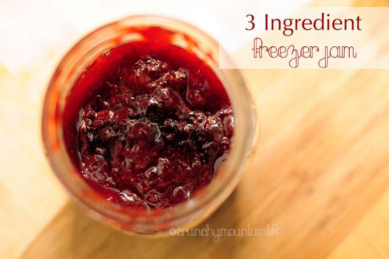 3 Ingredient Freezer Jam