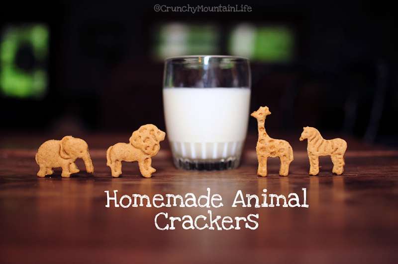 Homemade Animal Crackers