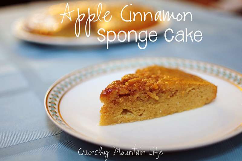 Apple Cinnamon Sponge Cake