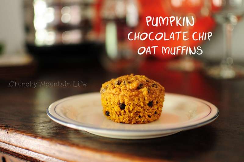 Pumpkin Chocolate Chip Oat Muffins