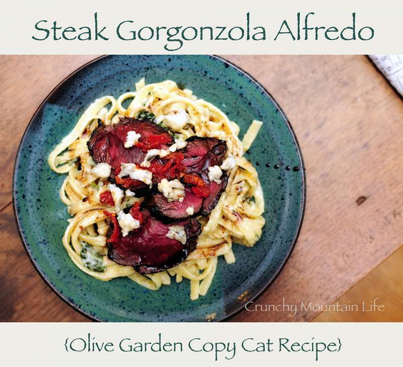 {Copycat Olive Garden} Steak Gorgonzola Alfredo